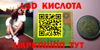 spice Краснознаменск